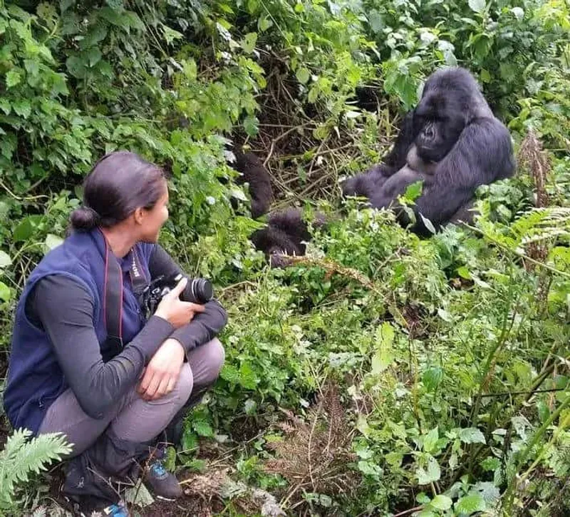 3-Day Rwanda Gorilla trekking safari
