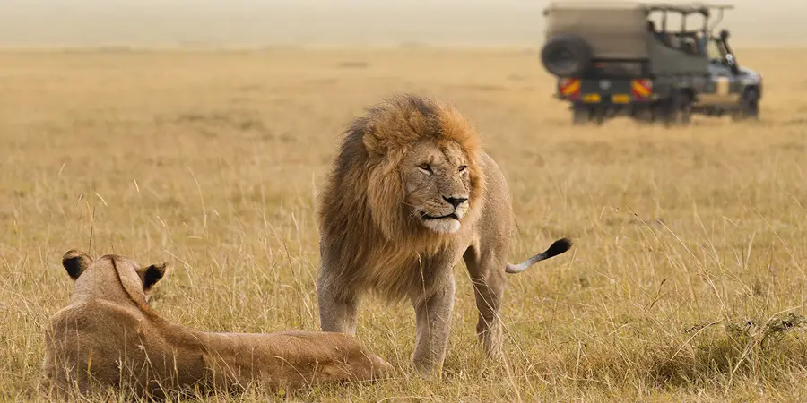 5 Days Tanzania Photographic Safari