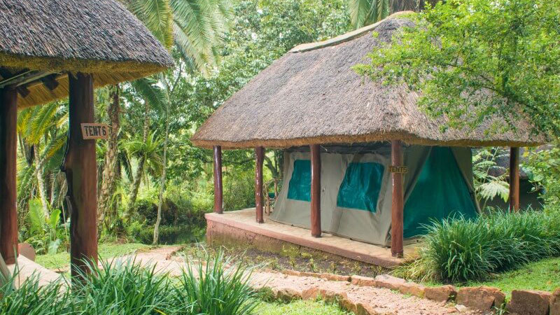 Kibale Forest Camp (Camping)