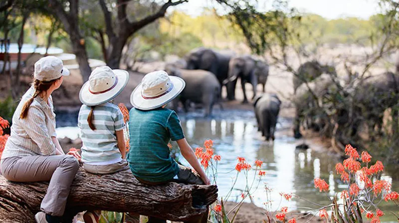 12-Day Luxury Family Safari & Zanzibar