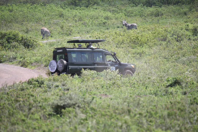 3-Day Mikumi Unforgettable Safari