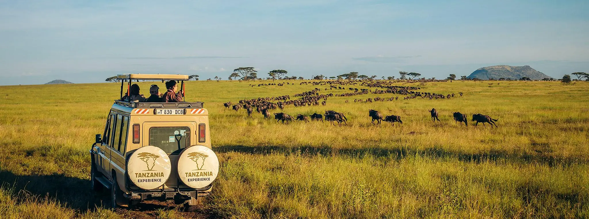 4 Days Luxury Safari From Zanzibar