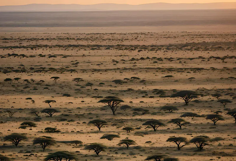 3Days_2Nights Midrange_Tarangire_ Ngorongoro Crater & Manyara