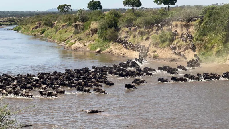 6 DAYS MARA RIVER CROSSING