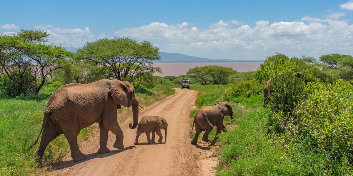 Tanzania Big Five & Beyond – 7 Days Safari