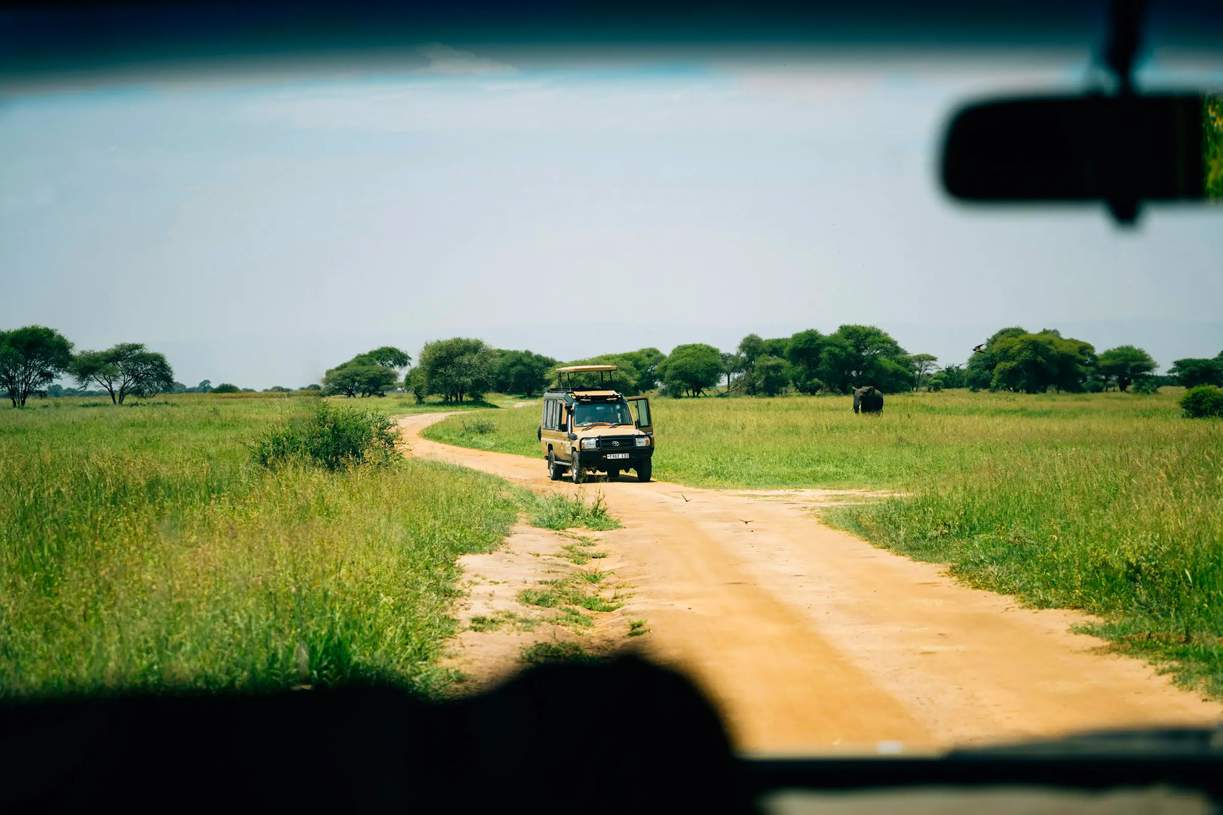 7-Day Pure Nature & Relaxation Safari - The pure essence of Tanzania’s wilderness.