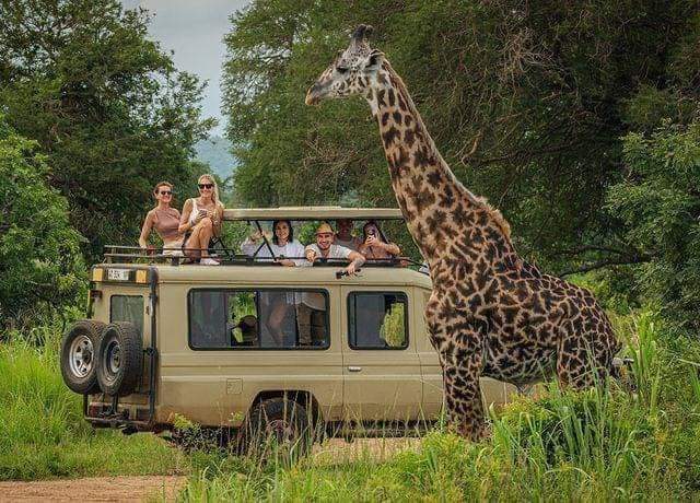 5 Days Masai Mara, Lake Nakuru & Naivasha Safari – Classic Kenya Adventure