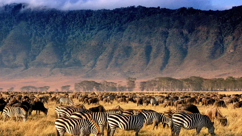 3-Day The Wonderful of Tarangire, Ngorongoro & Manyara