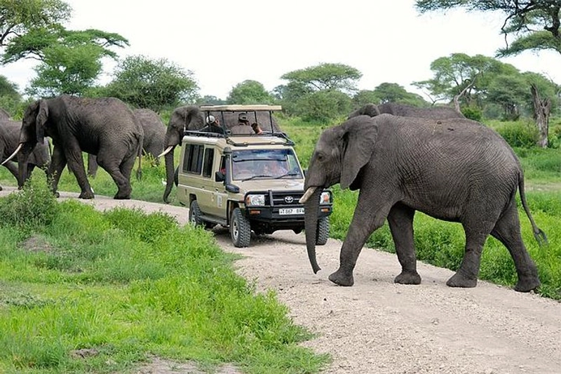 5 Day Exclusive Private Safari to Northern Tanzania
