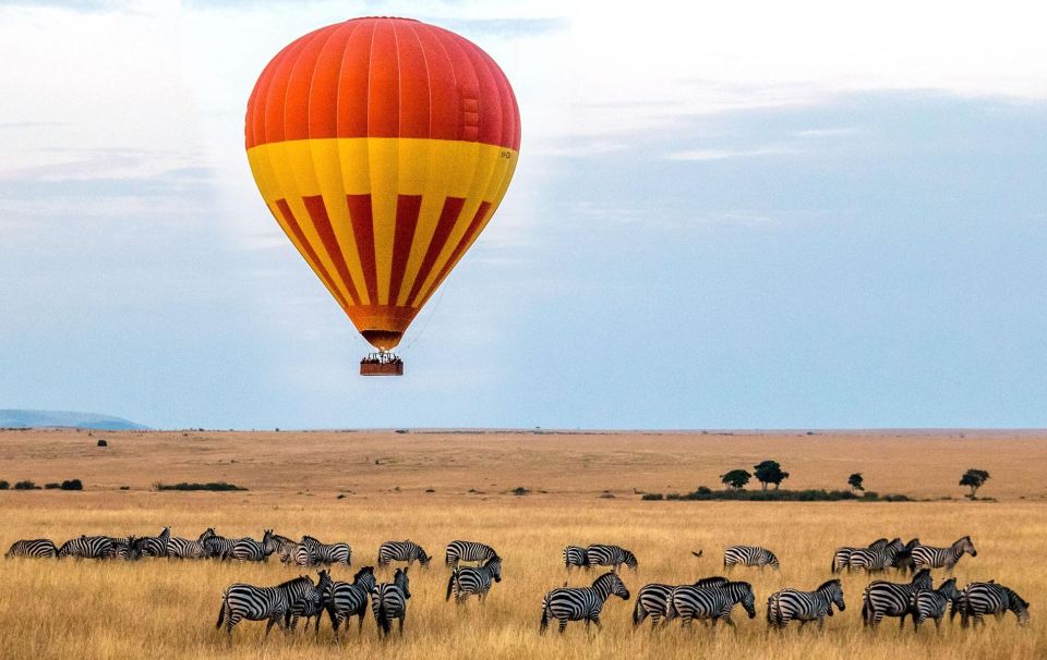 3 Days Masai Mara Safari – All-Inclusive Adventure from Nairobi