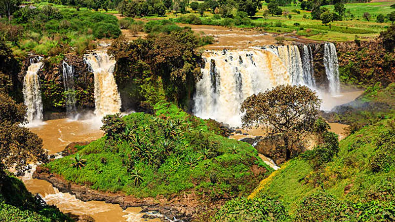 8-Days Bahir Dar, Gondar, Simien Mountains & Lalibela Tour