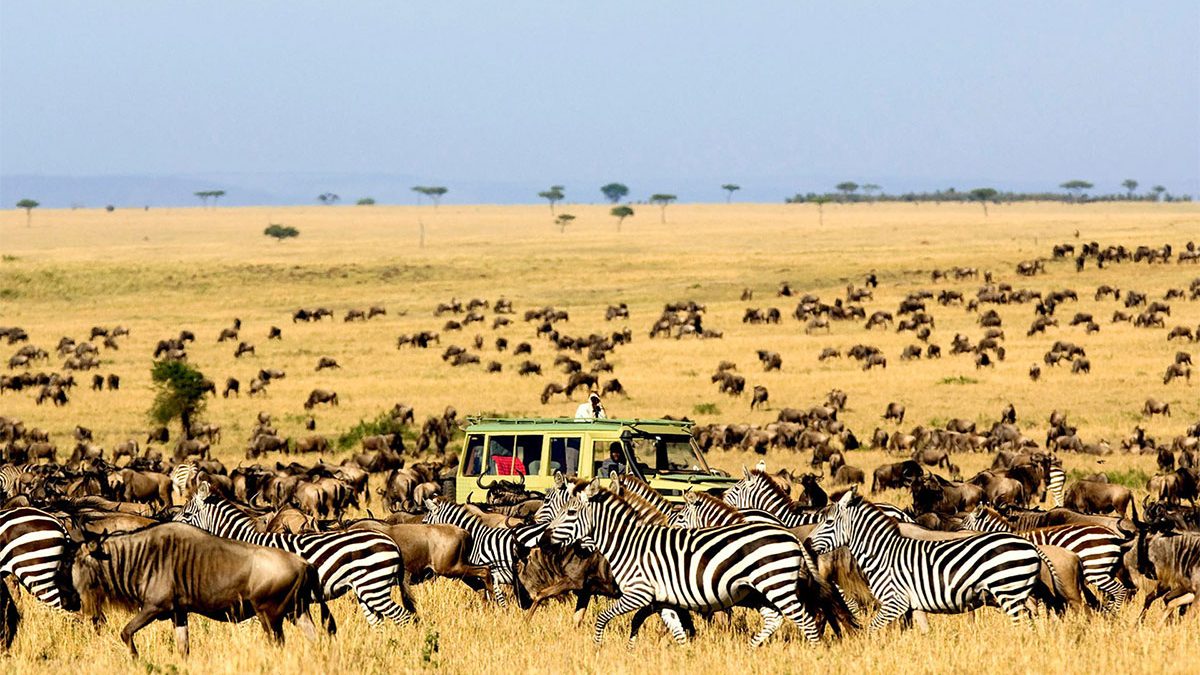 3-Day HONEYMOON SAFARI IN SERENGETI NATIONAL PARK