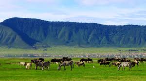 4 -Days Safari Exploring Northern Circuit Game Parks