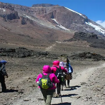 Climb Mt.Kilimanjaro via Lemosho Route for 8 Days - Spirit of Kilimanjaro - Safarigo