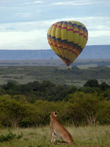 Maasai Mara Hot Air Balloon Ride - Samsons Safaris - Safarigo