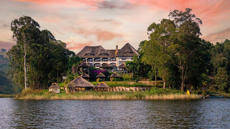 BirdNest Resort