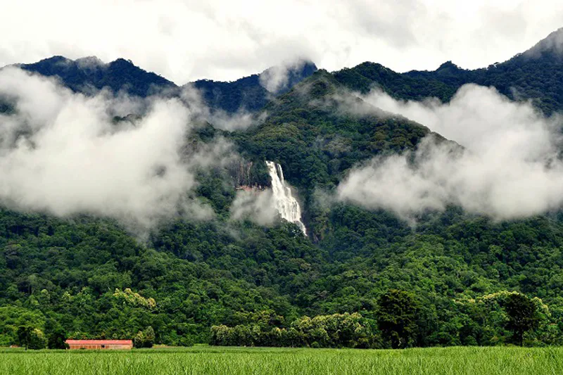Udzungwa Mountains National Park 12 hours