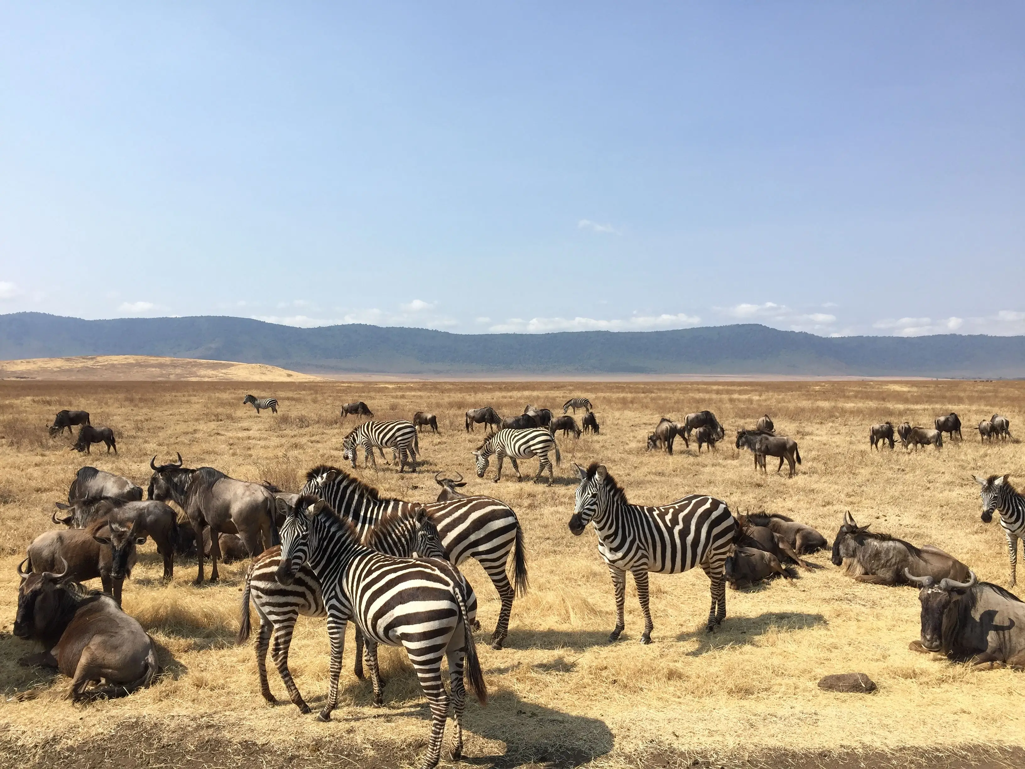 7 Days Honeymoon Migration Retreat Luxury Safari