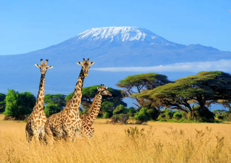6-Day Kilimanjaro Marangu Route