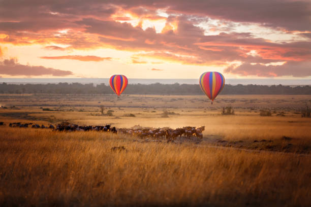 3 Days Maasai Mara Luxury Shared Sfari Experience