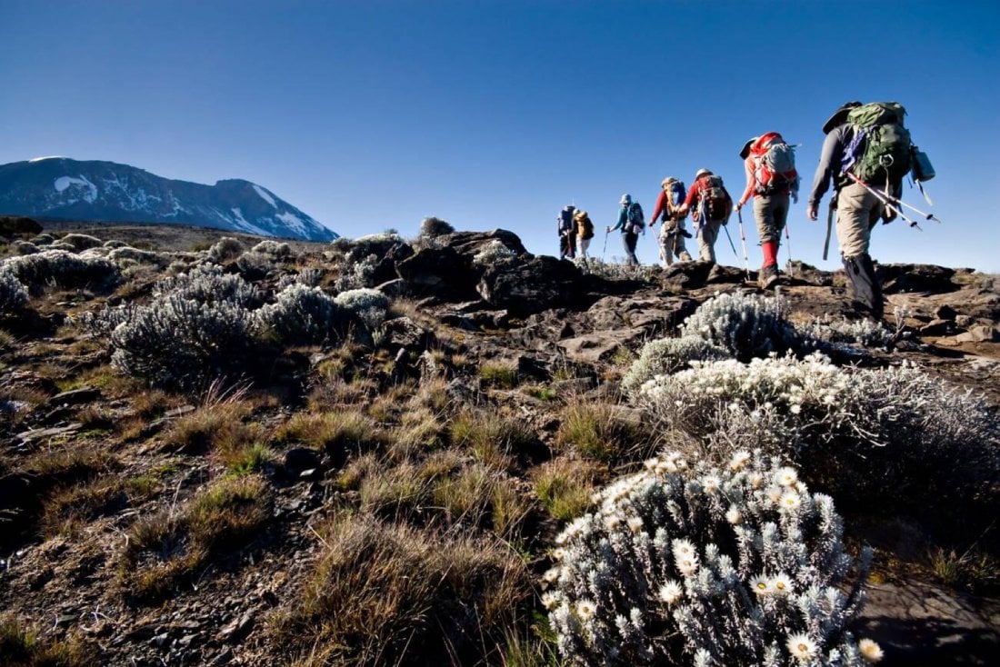 6 Days Umbwe Route: Kilimanjaro Climbing