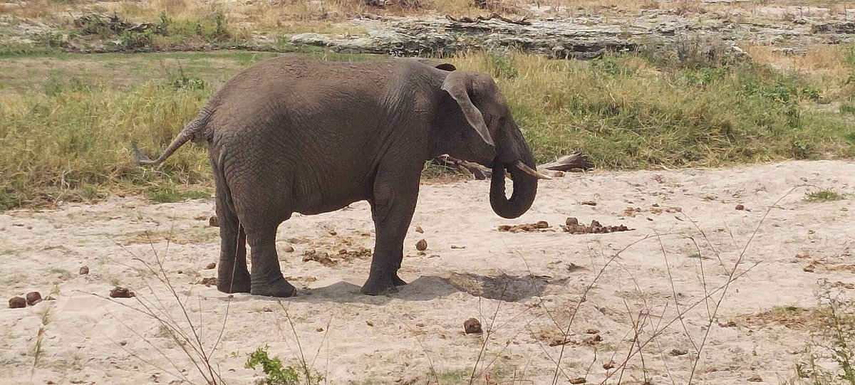 2-Day Epic Safari to Arusha and Tarangire National Parks