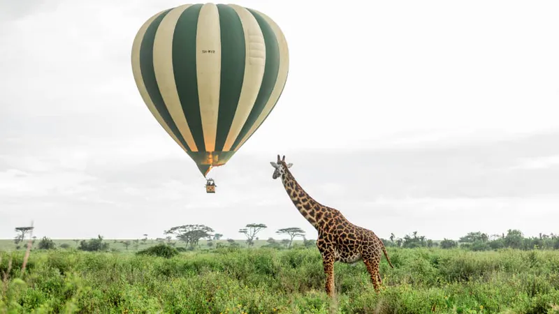 5 Days Big Five Safari (semi-Luxury Level)