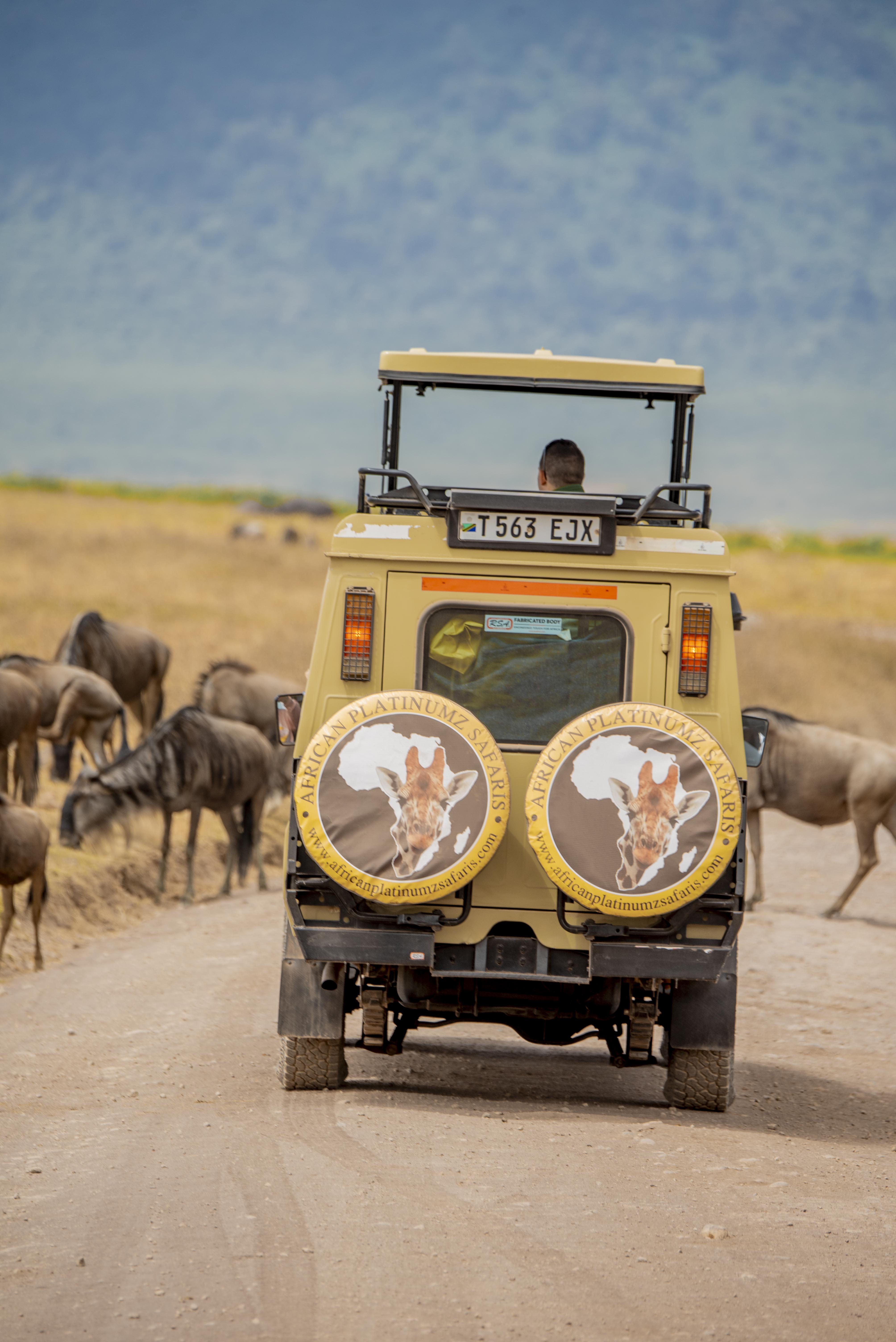 5-Day Tarangire, Ngorongoro and Manyara Best Safari from/to Kilimanjaro International Airport/Arusha airport
