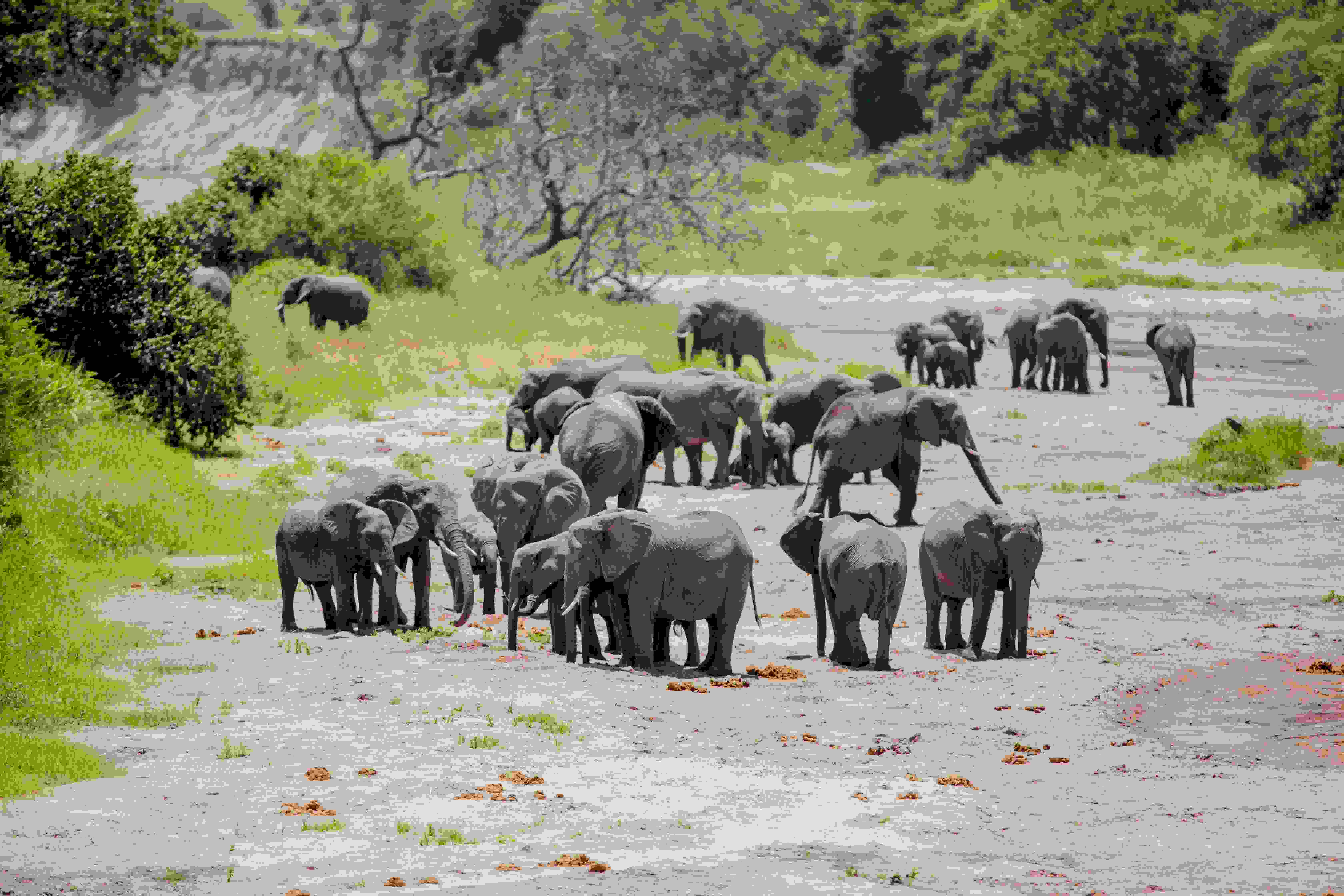 8 DAY GREAT WILDEBEEST MIGRATION SAFARI