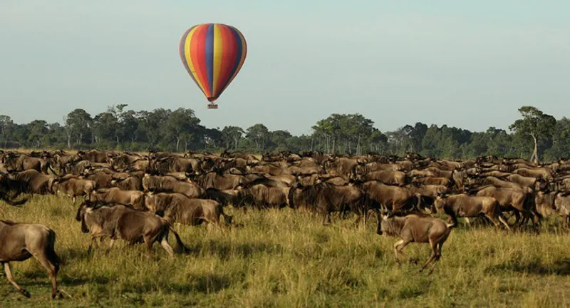 3-Day Thrilling Safari In Serengeti National Park