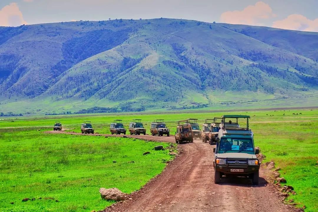 3 day Nyerere wildlife Adventure