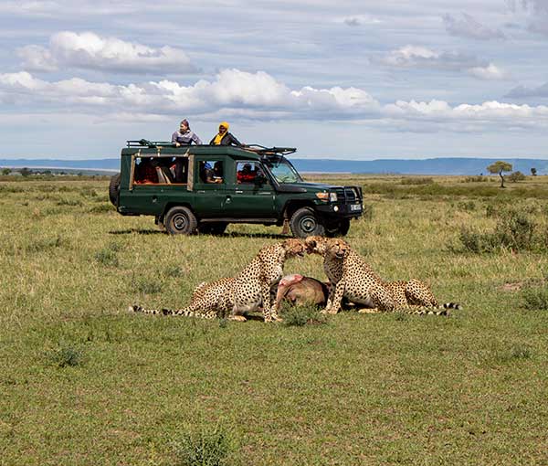 4-Day Lake Naivasha & Masai Mara Wildlife Safari