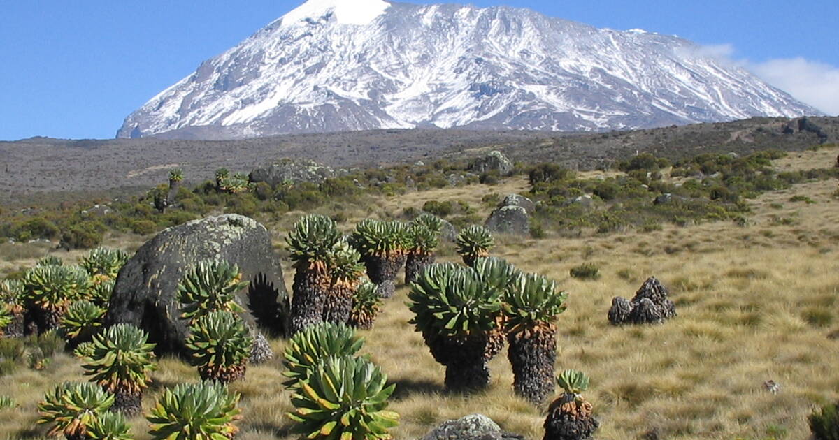 Machame Adventure Summit – 6 Days Kilimanjaro Trek