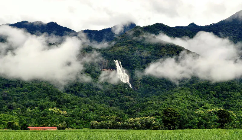 4-Day Udzungwa & Mikumi Safari Package