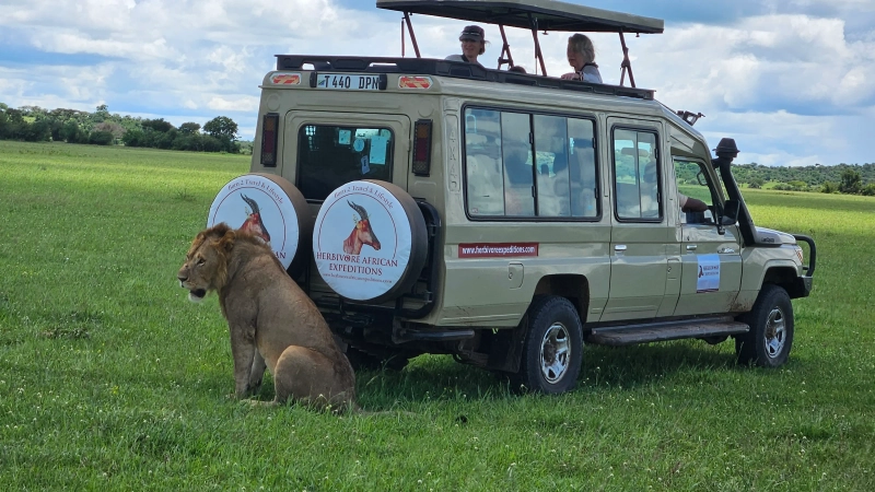 5 Day Journey Across Tarangire, Serengeti & Ngorongoro
