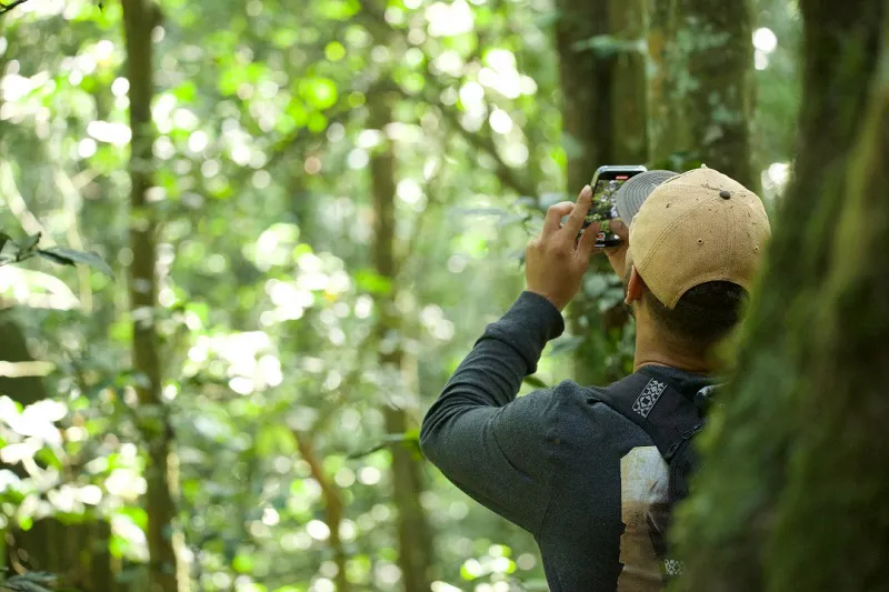 7-Day Rwanda Akagera Wildlife and Chimpanzee Trekking