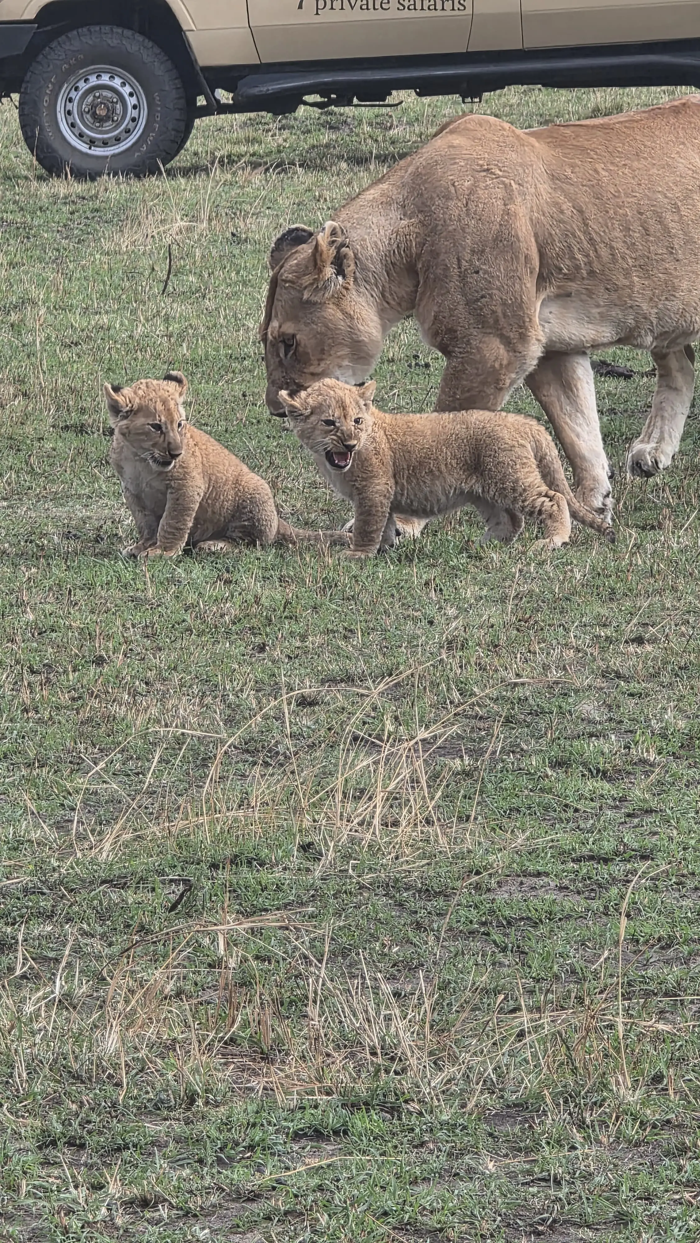 3 Days Mara National Reserve