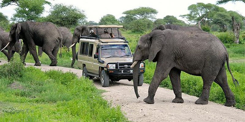 3 Day Safari to Tarangire & Ngorongoro Crater