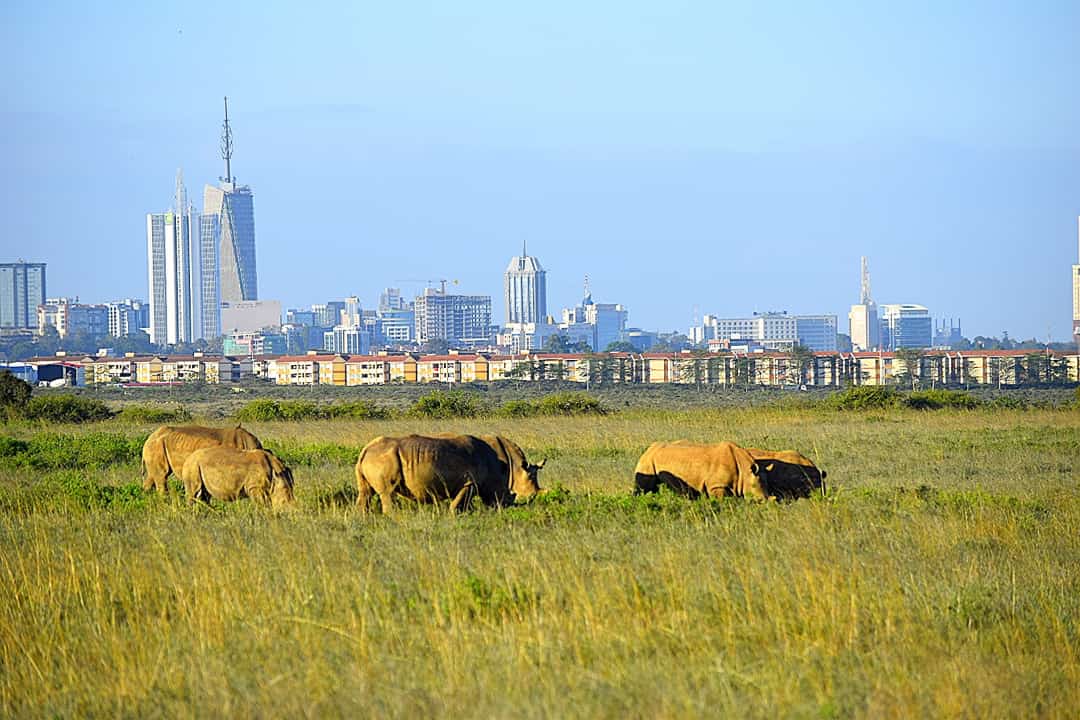 3 Day Maasai Mara