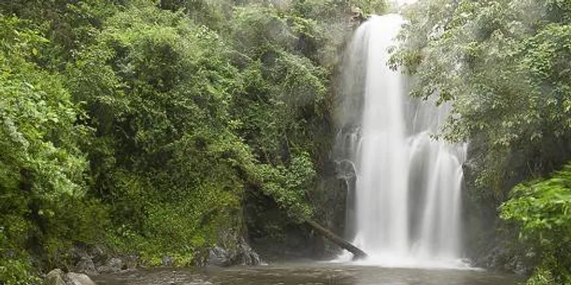5-Day Kilimanjaro Cultural, Nature & Farm Life Experience