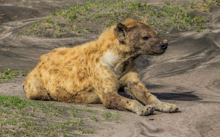 3-Day National Park and Cultural Tour