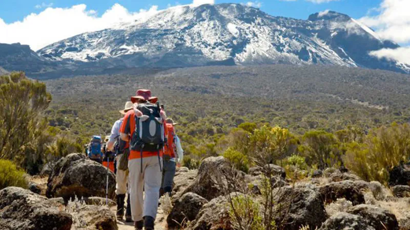 8 Days Kilimanjaro Climbing Lemosho Route