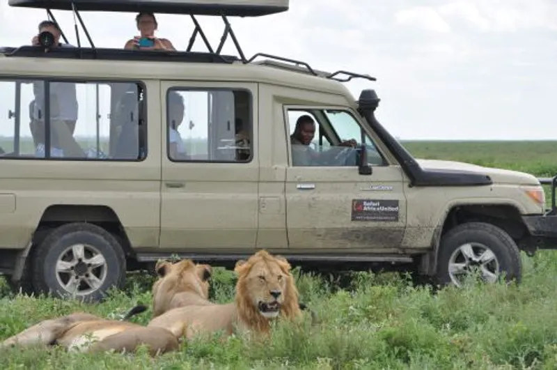 5 - Day Safari Serengeti , Ngorongoro and Tarangire Midrange accommodation