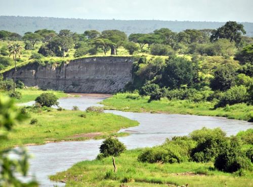 Unforgettable Great Migration: 8-Day Budget Safari in Tanzania - Januz Safaris - Safarigo