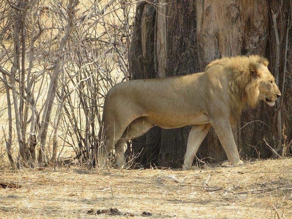3 Day: Nyerere National Park