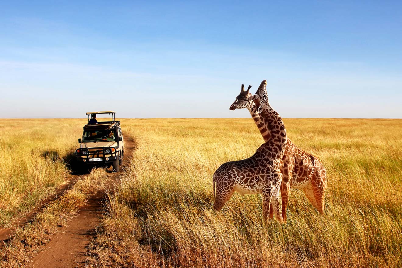 10 Days Serengeti Wildebeest Migration Safari - Calving Season - Spring Festival & 2025 New Year Holiday Safari Trip - East Safari Tours - Safarigo