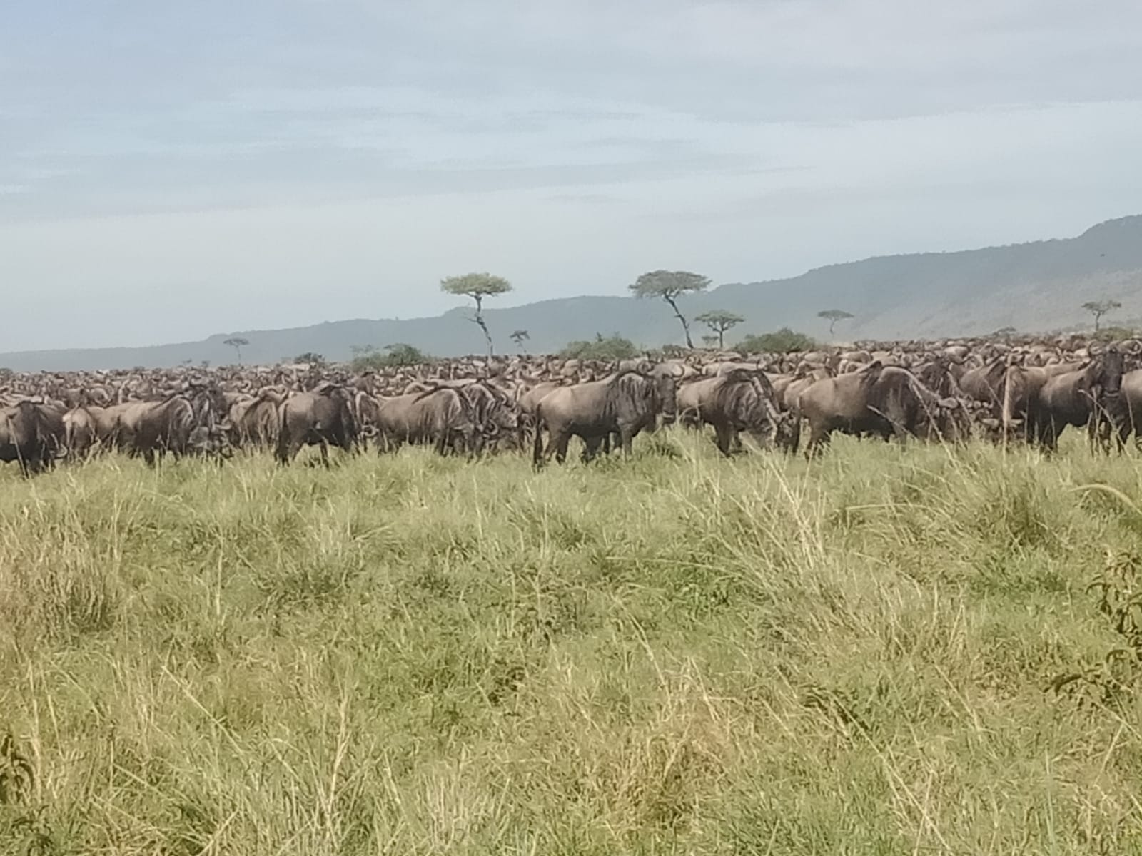 7-Day Samburu, Ol Pejeta, Lake Naivasha & Masai Mara - Beyond the plains Kenya Safaris  - Safarigo