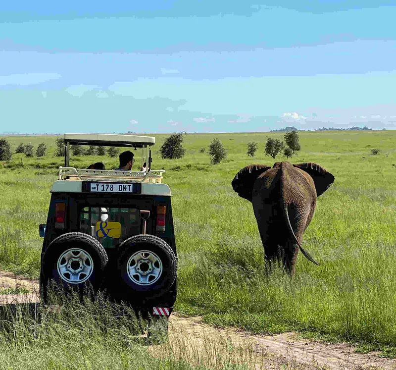 10 Days Luxury Safari-Tarangire-Ngorongoro crater-Serengeti and Beach Holiday Zanzibar