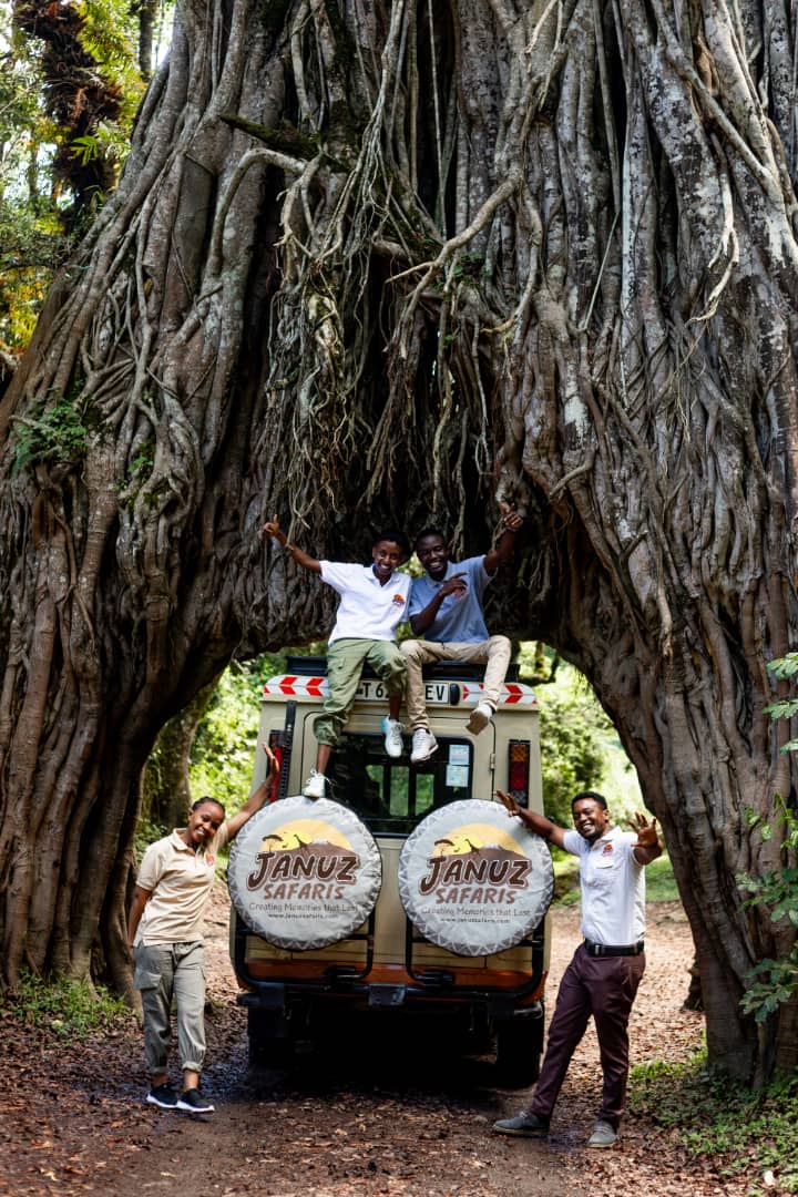 2-Day Safari Adventure: Ngorongoro & Tarangire