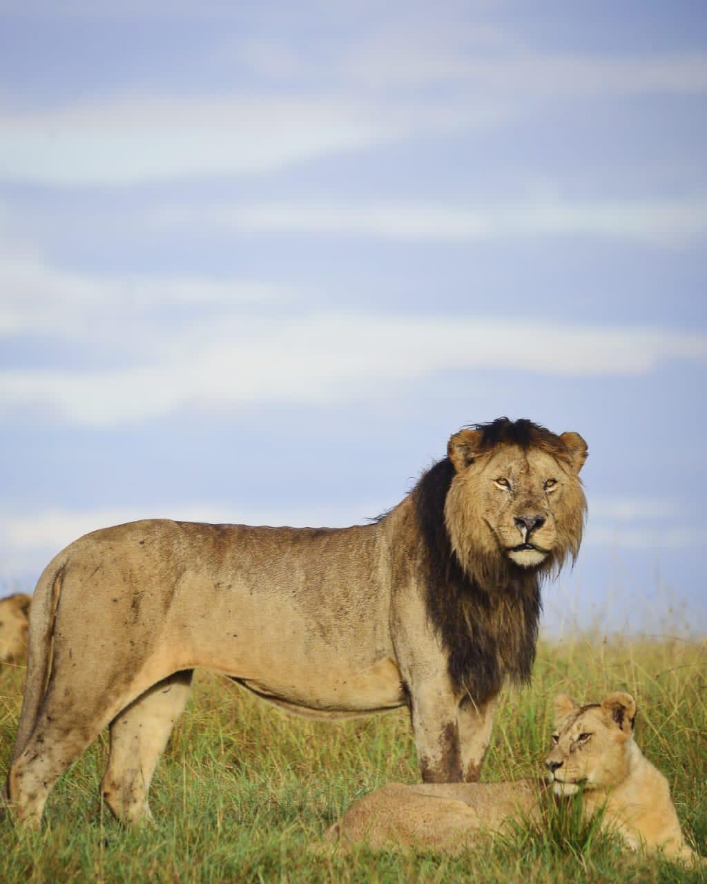 7 DAYS KENYA LODGE SAFARI - 2 ENTRIES IN MASAI MARA